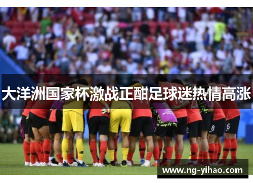 大洋洲国家杯激战正酣足球迷热情高涨